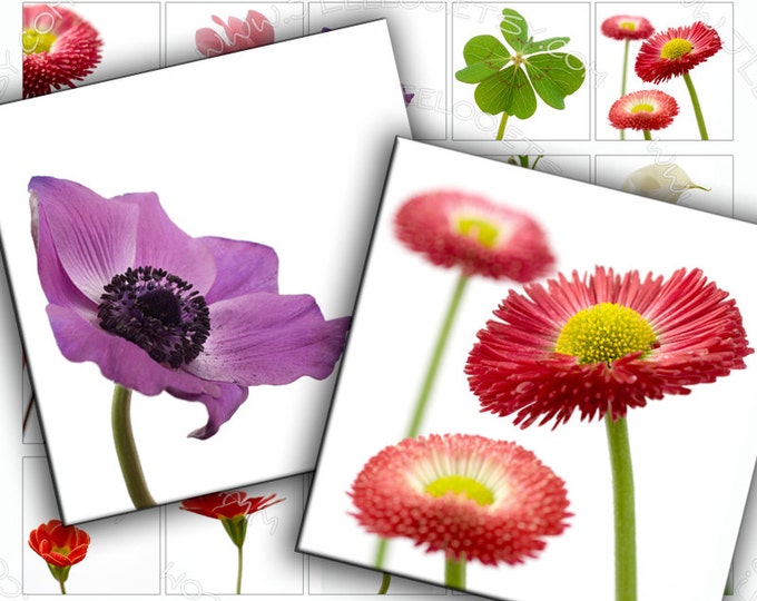 Digital collage sheet PURITY 1.5x1.5 square flower garden for jewelry pendant clipart magnet instant download printable collage qu316