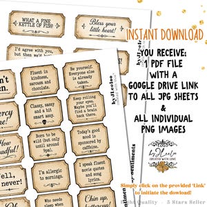 May include: A digital collection of printable rectangular labels with vintage-style beige backgrounds and black borders. Each label features unique humorous text such as What a fine kettle of fish, Bless your little heart, and Fluent in kindness, sarcasm and chocolate. The set includes PDF, JPG, and PNG file formats.