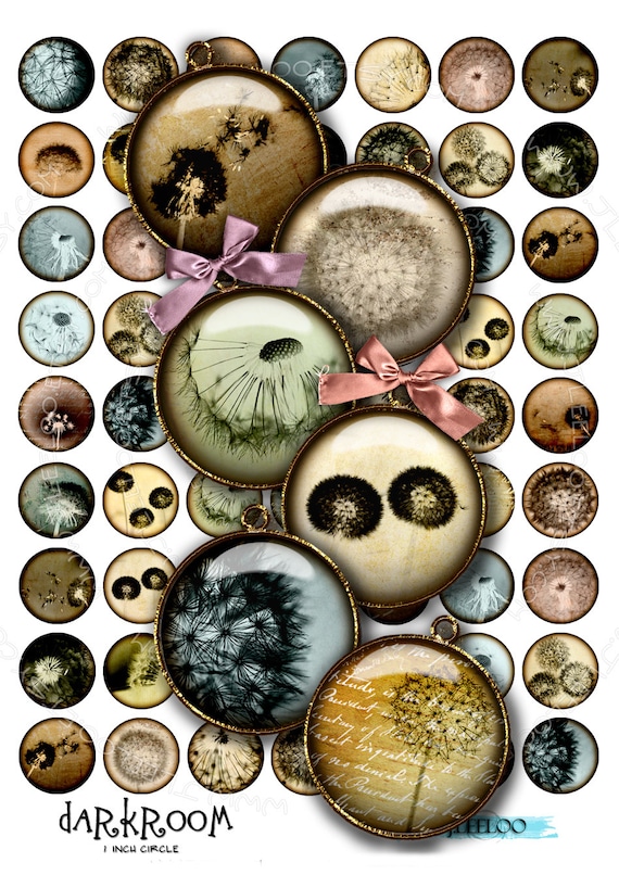 Digital collage DARKROOM 1 inch circle romantic dandelion flower for magnet stickers pendant craft instant download printable tn288