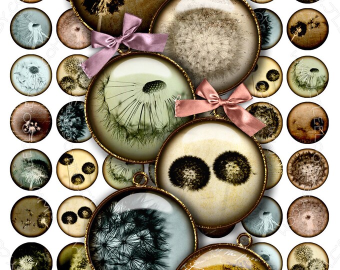 Digital collage DARKROOM 1 inch circle romantic dandelion flower for magnet stickers pendant craft instant download printable tn288