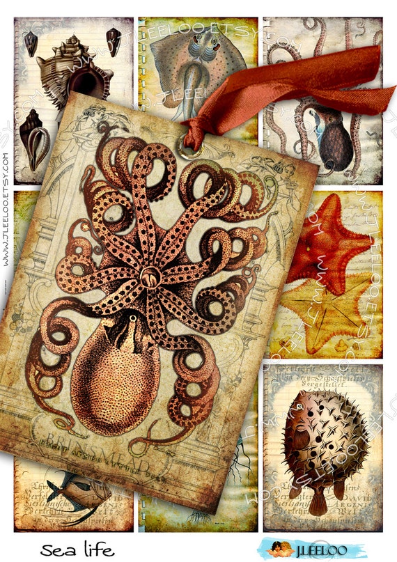SEA LIFE printable cards sea haeckel nature Digital collage sheet atc aceo greeting collage gift tag instant download printable ac259
