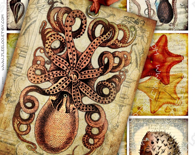 SEA LIFE printable cards sea haeckel nature Digital collage sheet atc aceo greeting collage gift tag instant download printable ac259