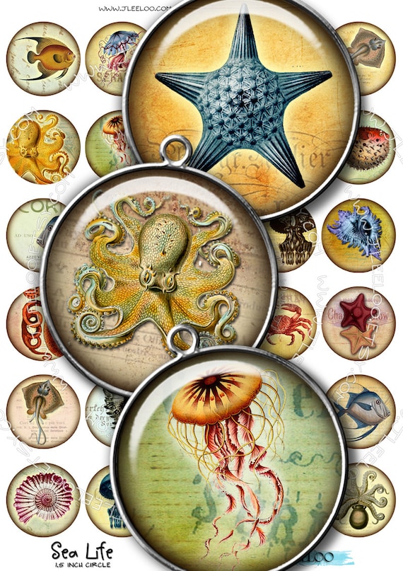 Digital collage sheet SEA LIFE 1.5 inch circle octopus jellyfish fish  magnet stickers pendant craft instant download printable tn175
