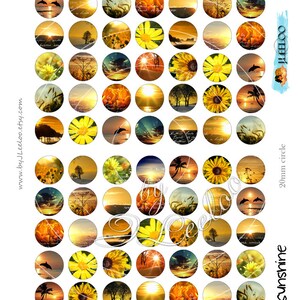 May include: A set of 36 round, 20 mm diameter, printable stickers featuring a variety of images with a summer theme. The images include sunsets, sunflowers, palm trees, dolphins, and seashells. The stickers are perfect for adding a touch of summer to your crafts, gifts, and home decor.