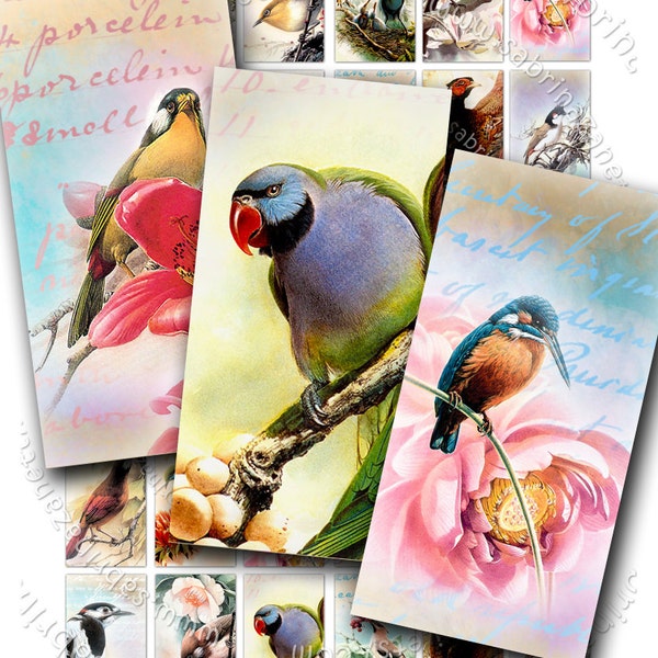 BIRDS domino printable 2x1 inch soldered Digital collage sheet art nature instant download background collage paper do107