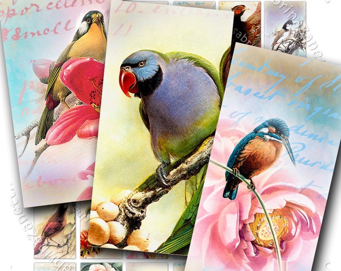 BIRDS domino printable 2x1 inch soldered Digital collage sheet art nature instant download background collage paper do107