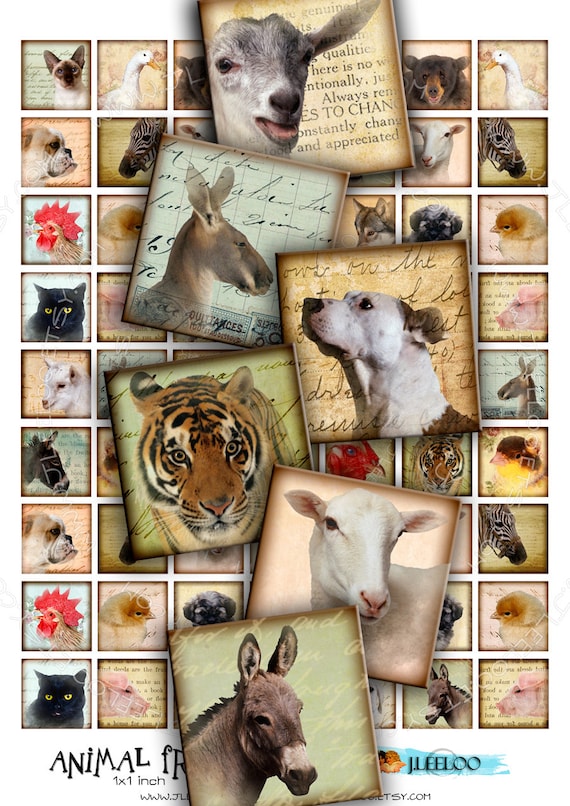 ANIMAL FRIENDS 1x1 inch square Digital collage sheet images puppies pendants magnet stickers instant download printable qu335