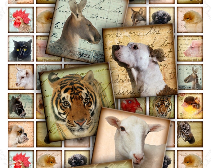 ANIMAL FRIENDS 1x1 inch square Digital collage sheet images puppies pendants magnet stickers instant download printable qu335