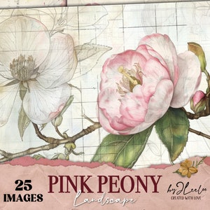Różowa piwonia vintage strony kolaż | Stary teksturowany dziennik śmieciowy botaniczny | Naturalistyczny pamiętnik ogród cyfrowe tło tekstury | pp819