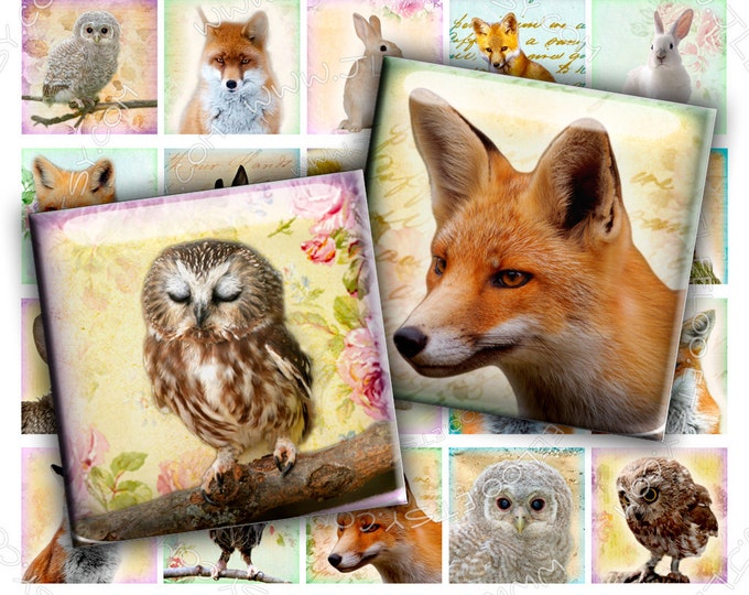 Digital printable FOX RABBIT and OWL 1.5 inch sheet digital paper goods jewelry pendant magnet paper craft instant download qu405