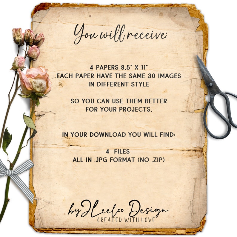 INSECTS Entomology Labels Kit Printable Vintage Ephemera Etsy