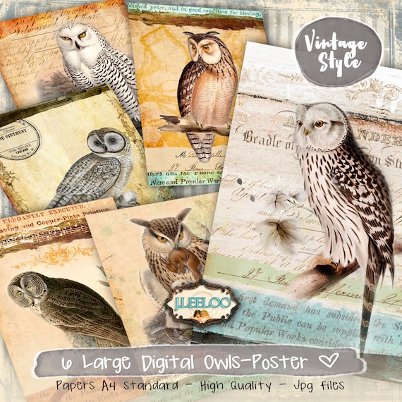 OWLS POSTER 6 printable digital papers - instant download for scrapbook diary art paper goods iron on - pp386