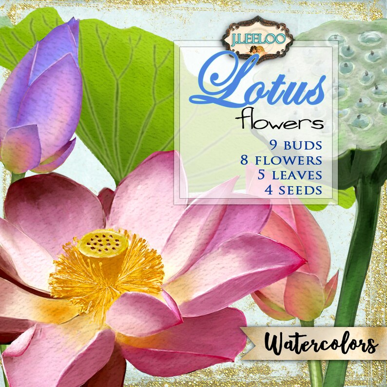 May include: Watercolor painting of pink and purple lotus flowers, buds, leaves, and seeds. The image includes the text "JuleeLoo Lotus flowers 9 buds 8 flowers 5 leaves 4 seeds Watercolors".