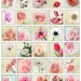 SHABBY Digital Printable 1.5 Inch Square Sheet Digital Images French ...