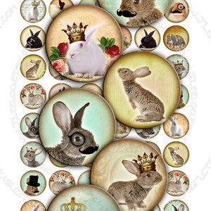 Digitales Papier CIRCLES RABBIT 1 Zoll Kreis Schnurrbart Monokel Hut Vintage romantisch für Anhänger Handwerk sofort download druckbar tn126