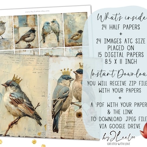 CROWNED BIRDS junk journal printable half pages tag Mixed Media supplies Birds hand-drawn vintage card making collage art diary pp747 image 2