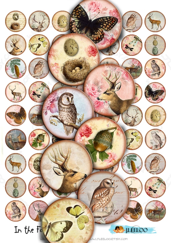 Digital collage IN THE FOREST 1 inch circle dragonfly deer owl eggs nest romantic for magnet jewellery pendant instant download tn210