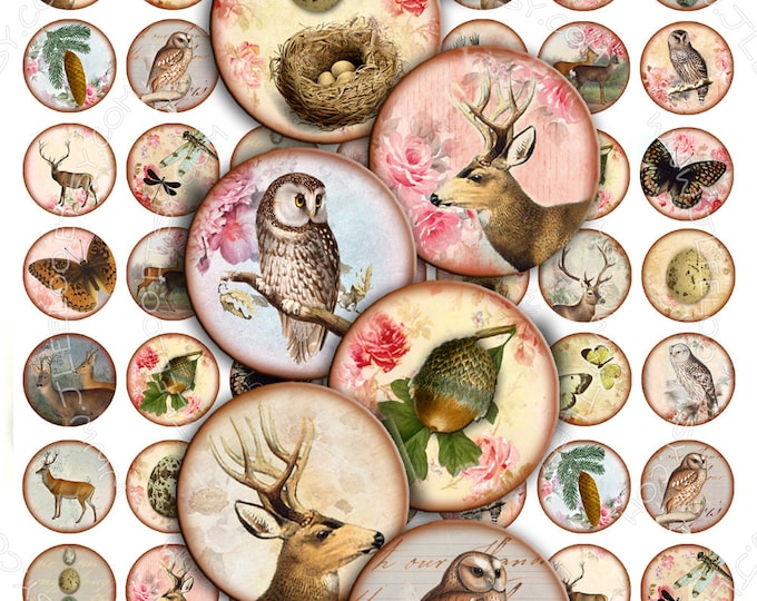 Digital collage IN THE FOREST 1 inch circle dragonfly deer owl eggs nest romantic for magnet jewellery pendant instant download tn210