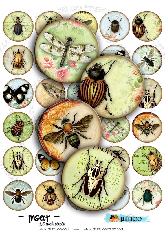 Digital paper INSECT 1.5 inch circle butterfly ladybug coleoptera beetles magnet stickers pendant craft instant download printable tn170