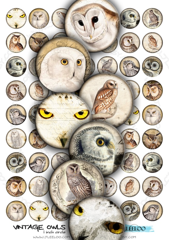 Digital paper VINTAGE OWL 1 inch circle scary bird wings raptors pendants magnet stickers pendant craft instant download printable tn184