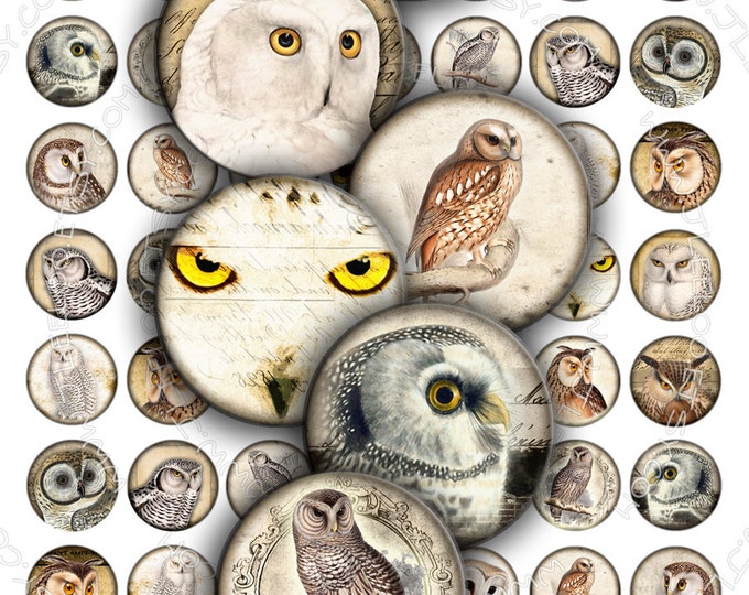 Digital paper VINTAGE OWL 1 inch circle scary bird wings raptors pendants magnet stickers pendant craft instant download printable tn184