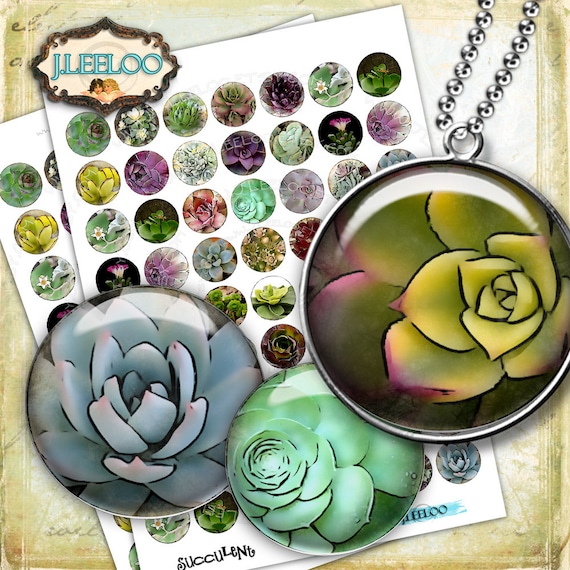 Digital collage SUCCULENTS 1 inch circle for magnets scrap jewelry glass pendants hang tags scrapbook original instant download tn458