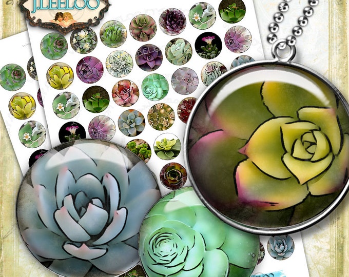 Digital collage SUCCULENTS 1 inch circle for magnets scrap jewelry glass pendants hang tags scrapbook original instant download tn458