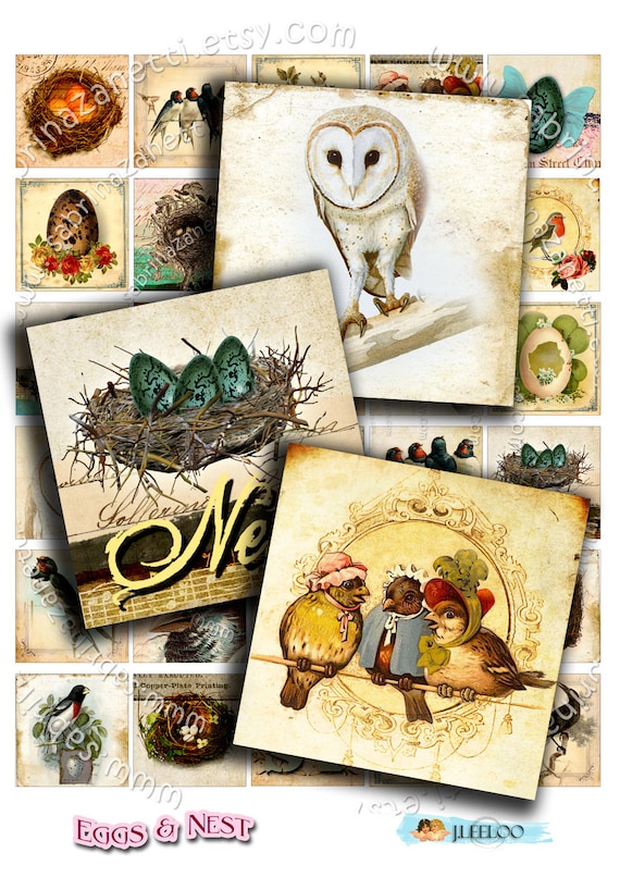 Digital collage EGGS AND NEST 1.5x1.5 inch square bird vintage owl swallow for pendant clipart magnet instant download printable qu251