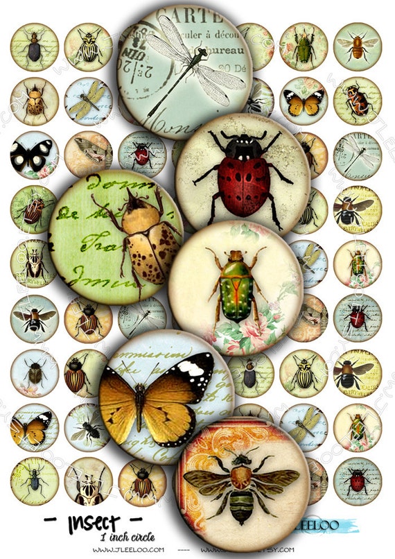 Digital download INSECT 1 inch circle butterfly ladybug coleoptera beetles magnet stickers pendant craft instant download printable tn171