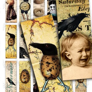 May include: A digital collage of vintage images featuring crows, nests, eggs, and a crying child. The images are arranged in a grid pattern on a yellowed background with handwritten text.