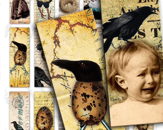 NEVERMORE 3x1 inch microscope black crow eggs scary gothic Digital collage sheet for jewellery pendant altered instant download do128