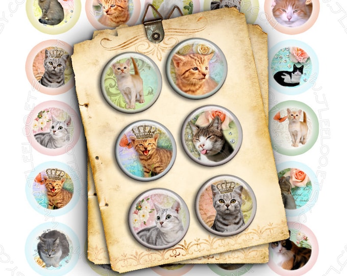 Digital images PORTHOLES AND CATS 1.313 inch for button machine puppies images printable instant download digital sheet tn251