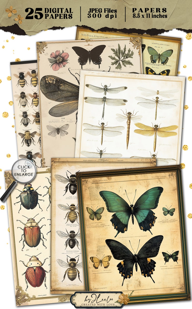 VICTORIAN INSECTARIUM Vintage Pages Collage | Old Naturalistic Charts ...