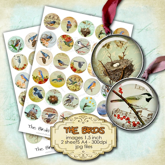 Digital printable THE BIRDS 1.5 inch circle sheets nest eggs vintage victorian romantic for pendant craft instant download printable tn216