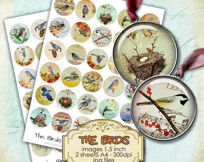 Digital printable THE BIRDS 1.5 inch circle sheets nest eggs vintage victorian romantic for pendant craft instant download printable tn216