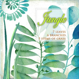 Aquarelas digitais clipart SELVA clip art png jpg pintado à mão para scrapbooking convites etiqueta cartão decoração para casa papéis instantâneo wa104