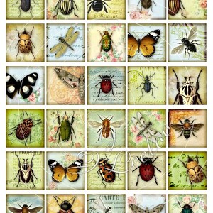 Digital Paper INSECT 1.5 Inch Square Butterfly Ladybug Coleoptera ...