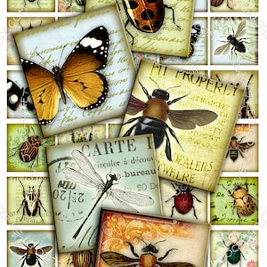 Carta digitale INSETTI 1,5 pollici quadrati farfalla coccinella coleotteri coleotteri per adesivi magnetici ciondolo download immediato stampabile qu265