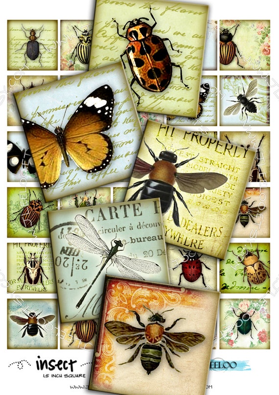 Digital paper INSECT 1.5 inch square butterfly ladybug coleoptera beetles for magnet stickers pendant instant download printable qu265