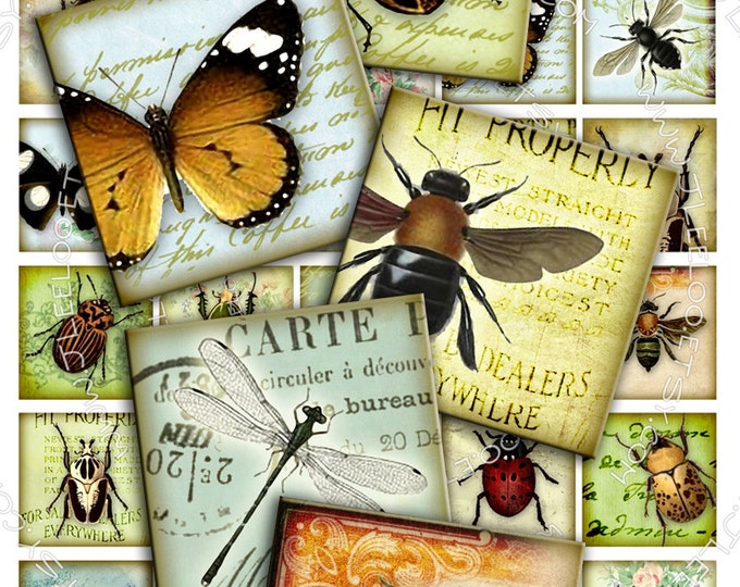 Digital paper INSECT 1.5 inch square butterfly ladybug coleoptera beetles for magnet stickers pendant instant download printable qu265
