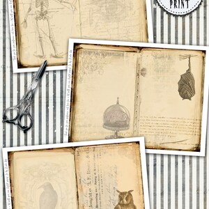 May include: Twelve digital printable sheets with two pages each.  Three sheets feature vintage illustrations of a skeleton, a brain in a jar, and a bat.  Six sheets have vintage text and images of an owl and a raven.  The text on the sheets reads "Bought of B.F. Brown & Co. French Dressing and Army & Navy."