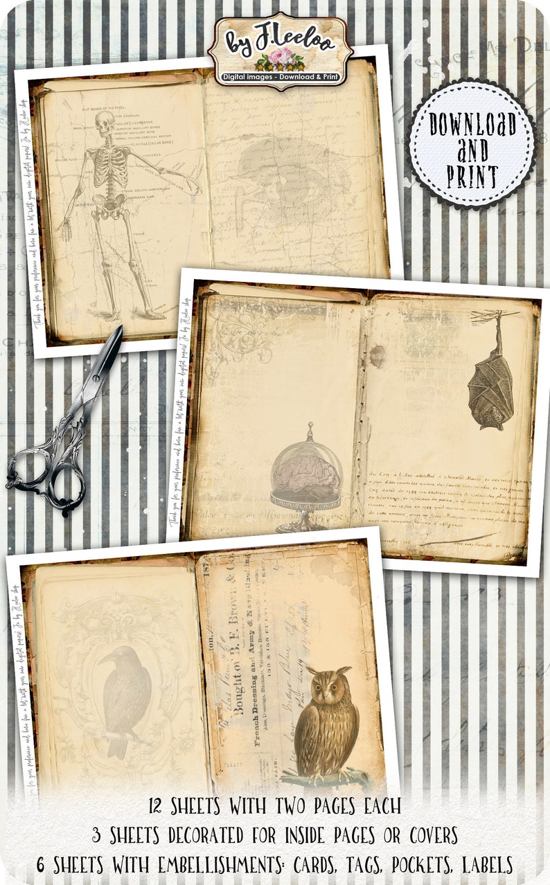 May include: Twelve digital printable sheets with two pages each.  Three sheets feature vintage illustrations of a skeleton, a brain in a jar, and a bat.  Six sheets have vintage text and images of an owl and a raven.  The text on the sheets reads "Bought of B.F. Brown & Co. French Dressing and Army & Navy."