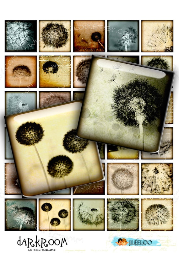 Digital collage DARKROOM 1.5 inch square romantic dandelion flower for magnet stickers pendant craft instant download printable qu349