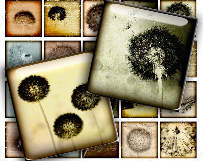 Digital collage DARKROOM 1.5 inch square romantic dandelion flower for magnet stickers pendant craft instant download printable qu349