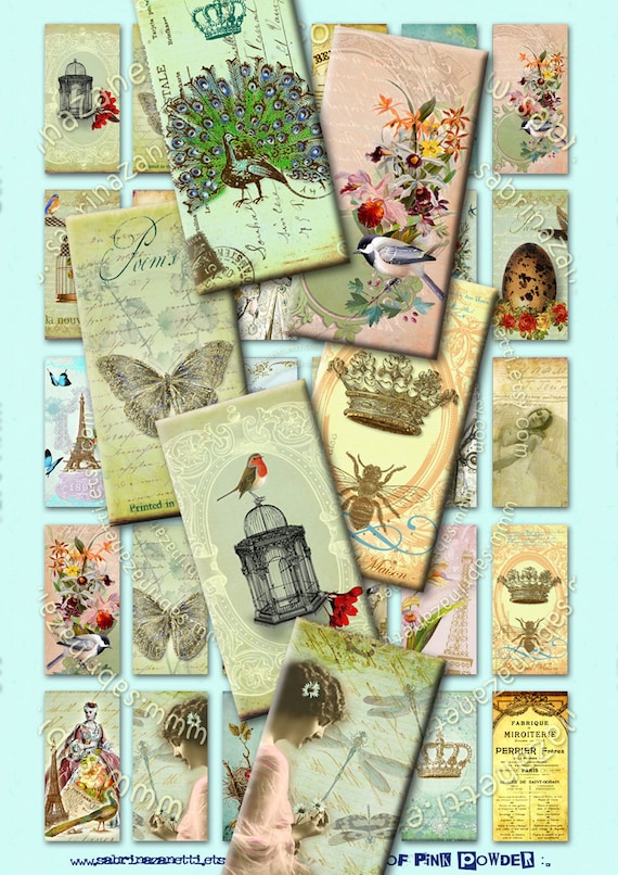 A PUFF of PINK POWDER printable 2x1 inch domino crow bird royal instant download background Digital collage sheet paper victorian do102