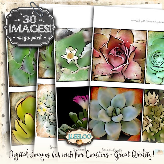Digital collage SUCCULENTS 4x4 inch square green life coaster greeting cards card making day dead instant download printable qu409