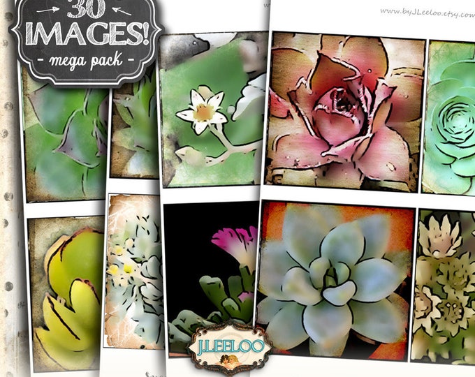 Digital collage SUCCULENTS 4x4 inch square green life coaster greeting cards card making day dead instant download printable qu409