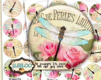 Digital collages DRAGONFLY 2.5 inch circle paper goods for pendant mirrors magnet and craft instant download printable paper tn418