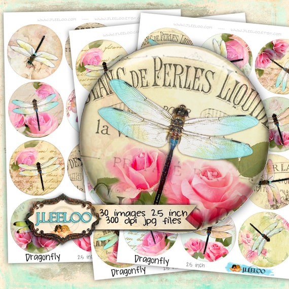 Digital collages DRAGONFLY 2.5 inch circle paper goods for pendant mirrors magnet and craft instant download printable paper tn418