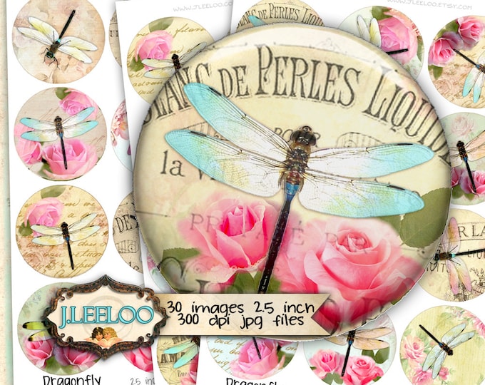Digital collages DRAGONFLY 2.5 inch circle paper goods for pendant mirrors magnet and craft instant download printable paper tn418